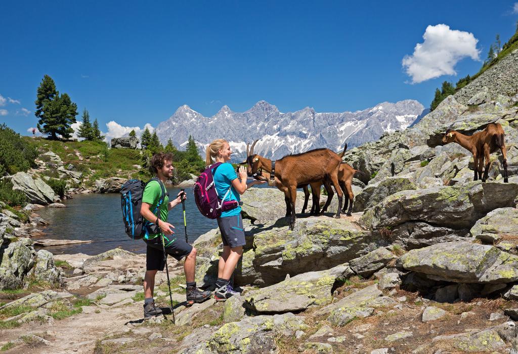 Appartement Alpenglueck Aich  Ngoại thất bức ảnh